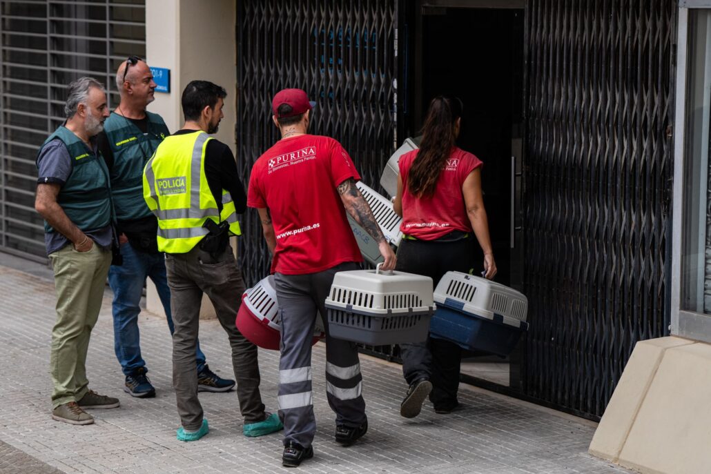 MorganPet-se-une-a-la-lucha-contra-el-tráfico-de-cachorros-Apoyamos-la-recuperación-de-más-de-350-perros-1-scaled